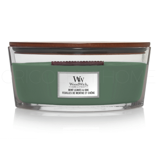 candela ellipse minte leaves e oak woodwick grigolettihome 1 1