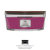 candela ellipse wild berry e beets woodwick grigolettihome candela ellipse wild berry e beets woodwick grigolettihome