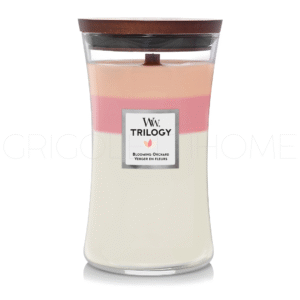 candela grande trilogy blooming orchard woodwick grigolettihome 1