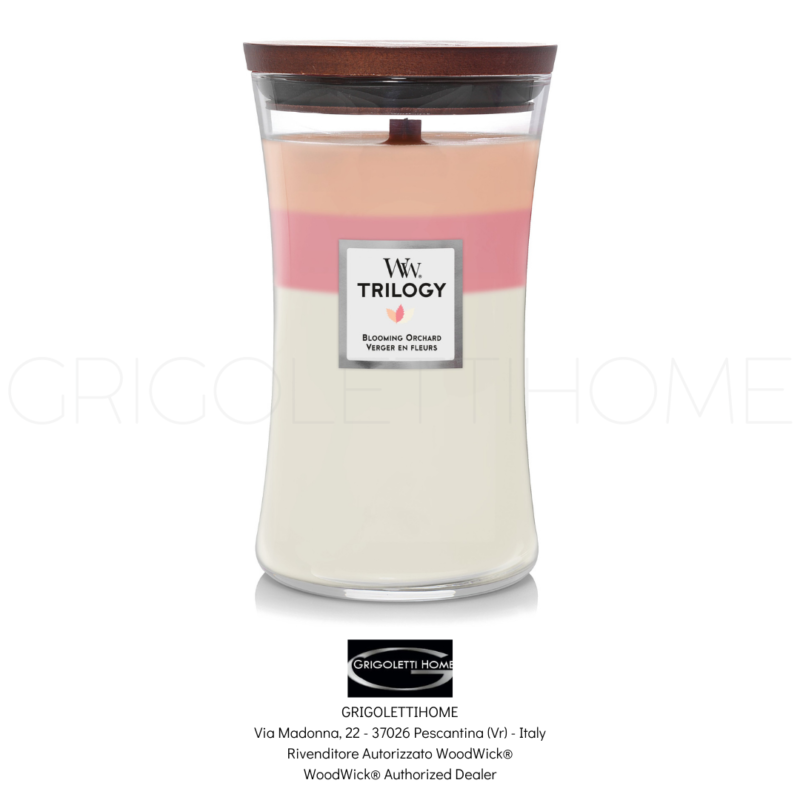 candela grande trilogy blooming orchard woodwick grigolettihome