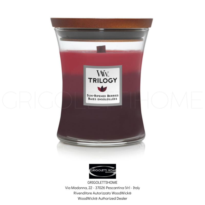 candela media trilogy sun ripened berries woodwick grigolettihome