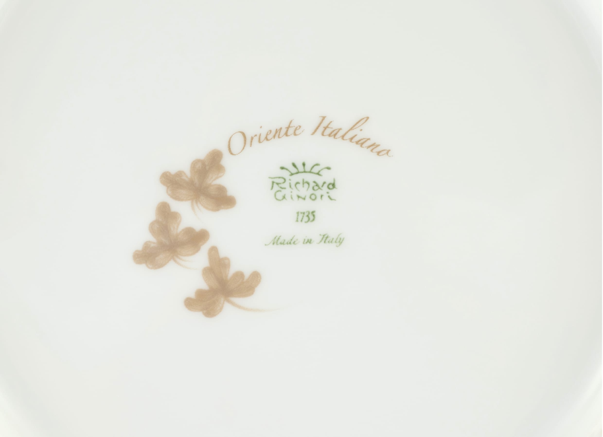 8026762063536 d dlbgjv