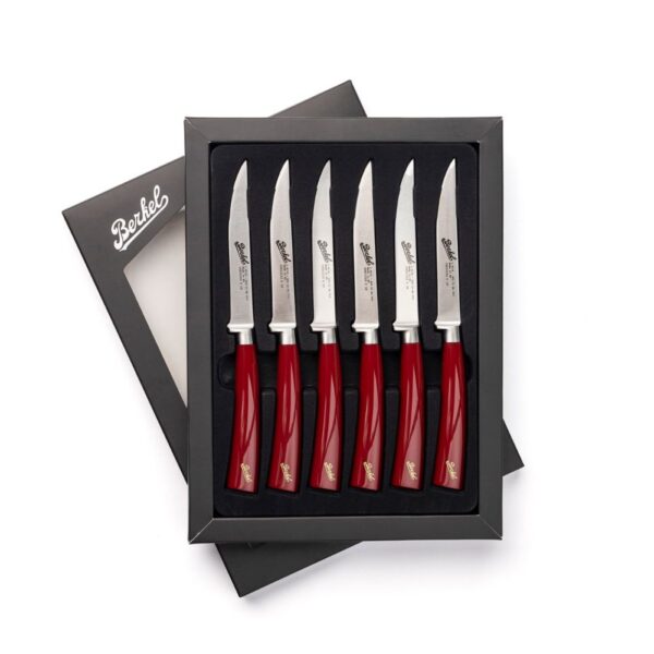 Elegance box1 Elegance - Set 6 coltelli da bistecca in acciaio - Rosso