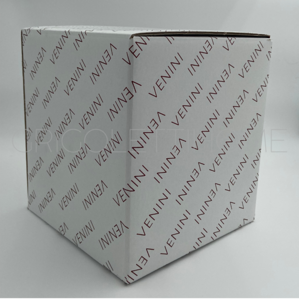 Scatola Vasi Venini - Grigoletti Home-Rivenditore-Verona(Italy) Vaso Fazzoletto Medio h cm 24 - Rosso / Verde Mela - Venini