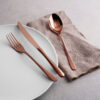 Taste 24 pezzi pvd Copper