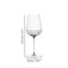 SPIEGELAU Definition Stemmed Glass 1