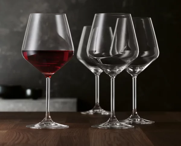 SPIEGELAU Style Burgundy Stemmed Glass 2