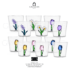 Set of 12 Botanica Tumbler Glasses by Ichendorf Milano GrigolettiHome