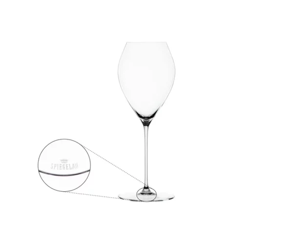 Special Stemmed Glass: Sparkling Wine Glass 1
