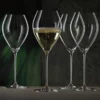 Special Stemmed Glass: Sparkling Wine Glass 2