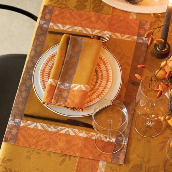 set de table enduit manor lane coloquinte amb2